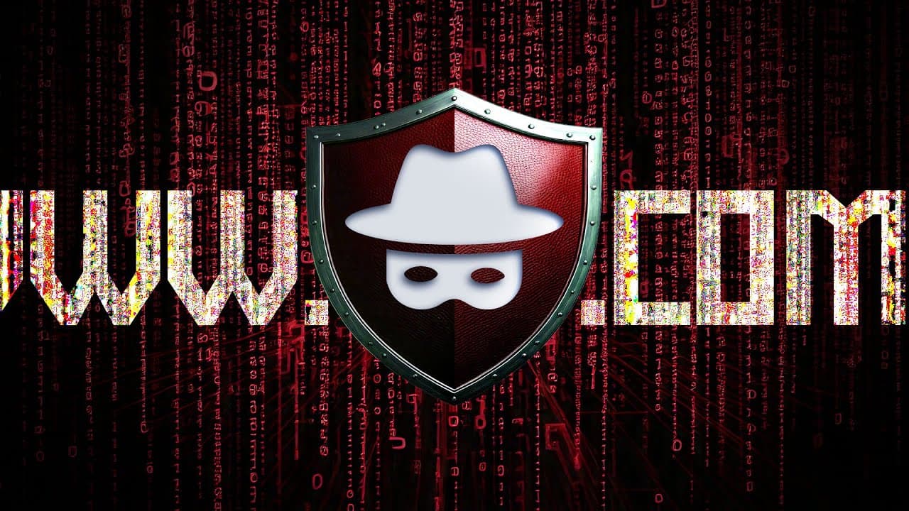 Tela de computador exibindo uma consulta WHOIS com o campo do registrante ocultado por um serviço de privacidade, ao lado de um pagamento em criptomoeda